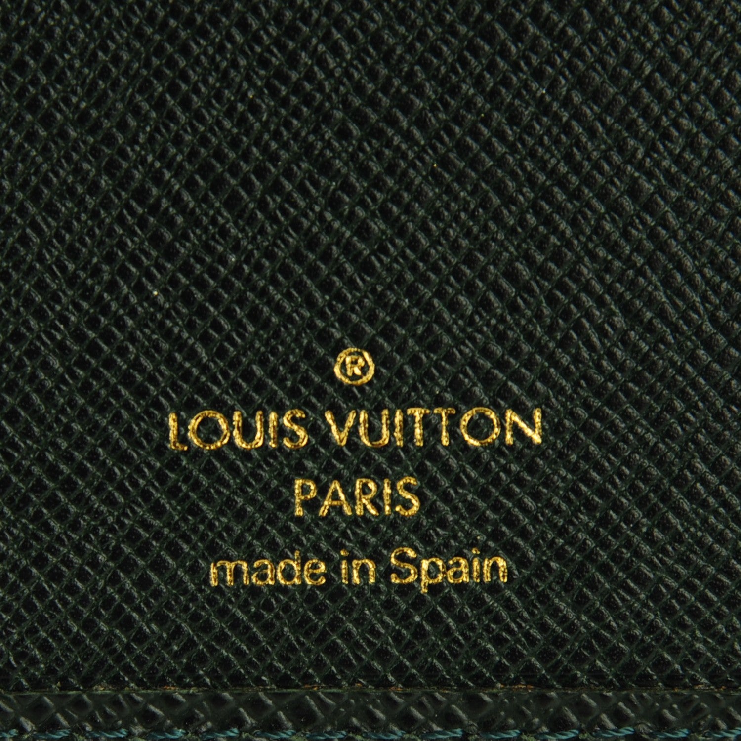 Louis Vuitton Taiga Small Ring Agenda Cover Epicea 6 of 7