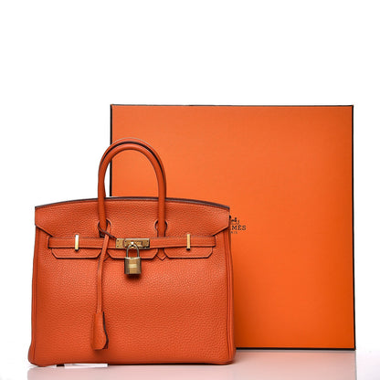 Hermes Togo Birkin 25 Feu 33 of 33