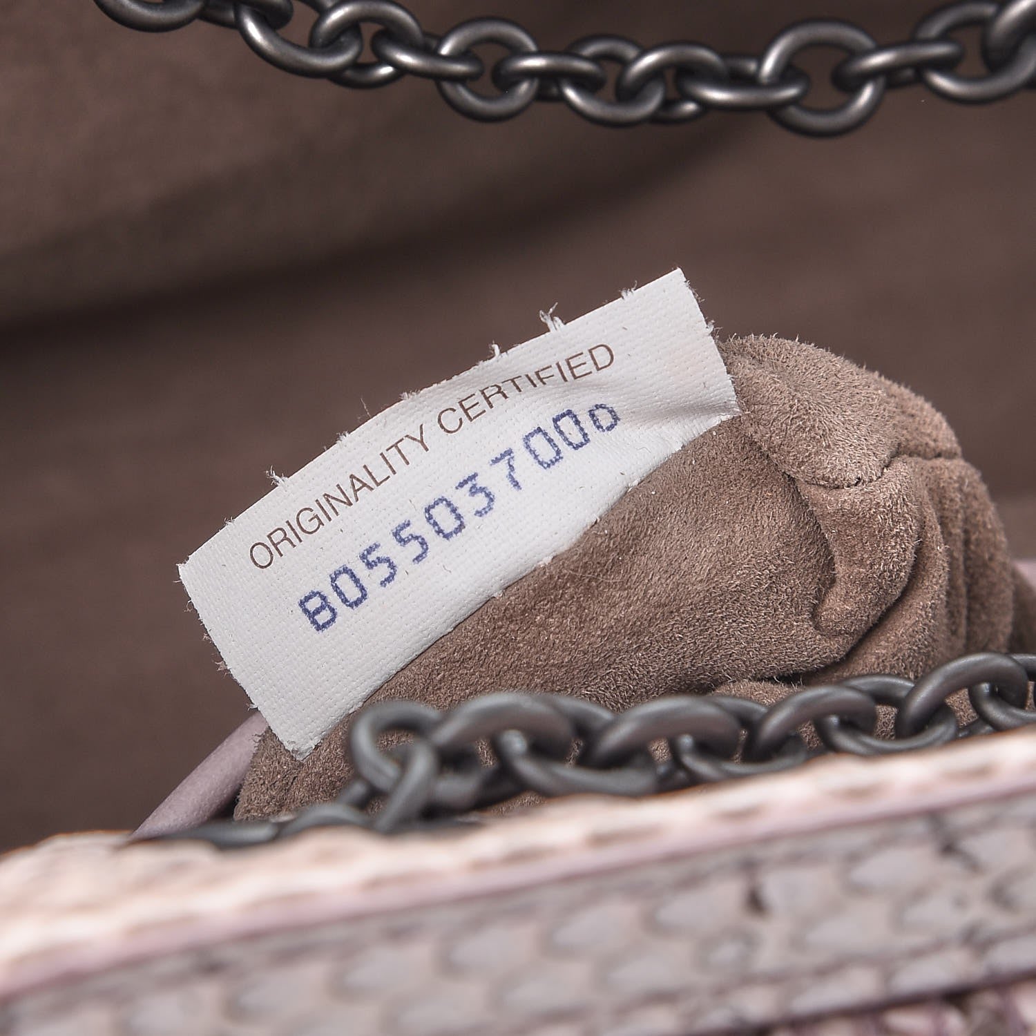 Bottega Veneta Lizard Snakeskin Chain Shoulder Bag 8 of 10