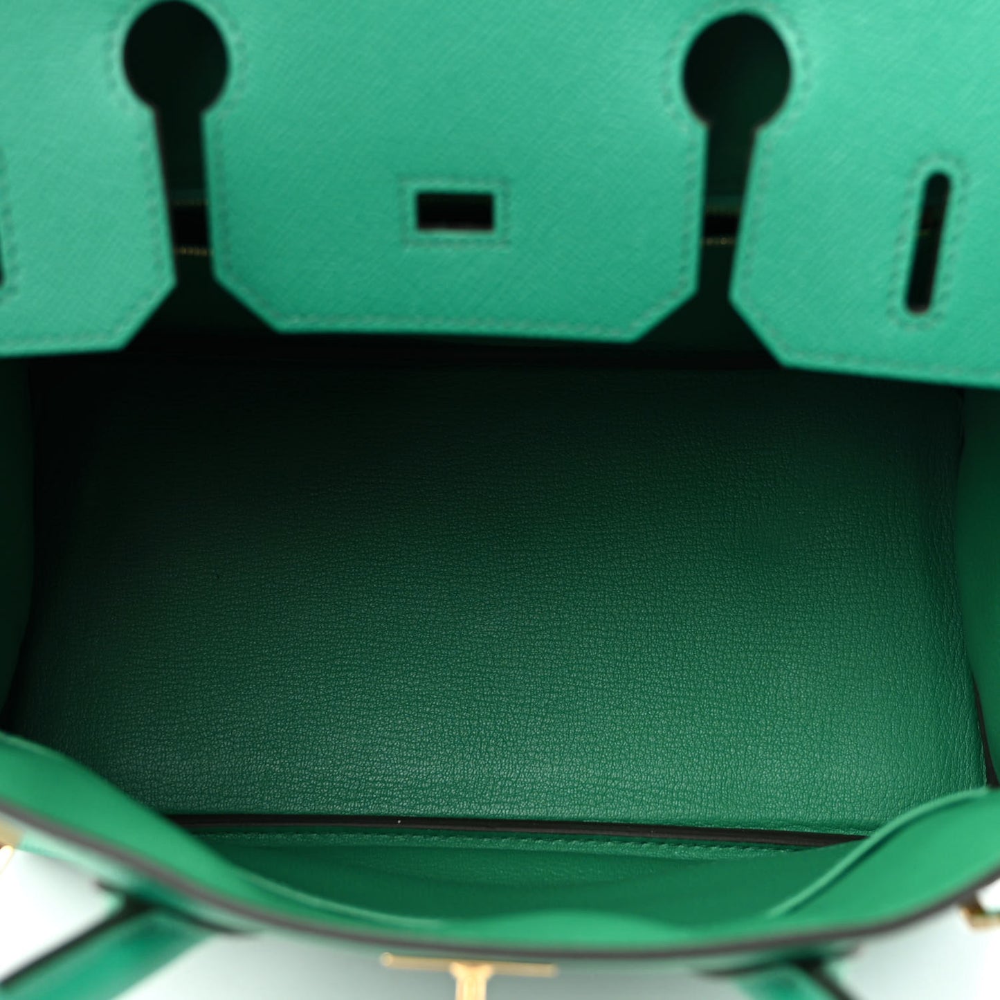 Epsom Birkin 30 Vert Vertigo