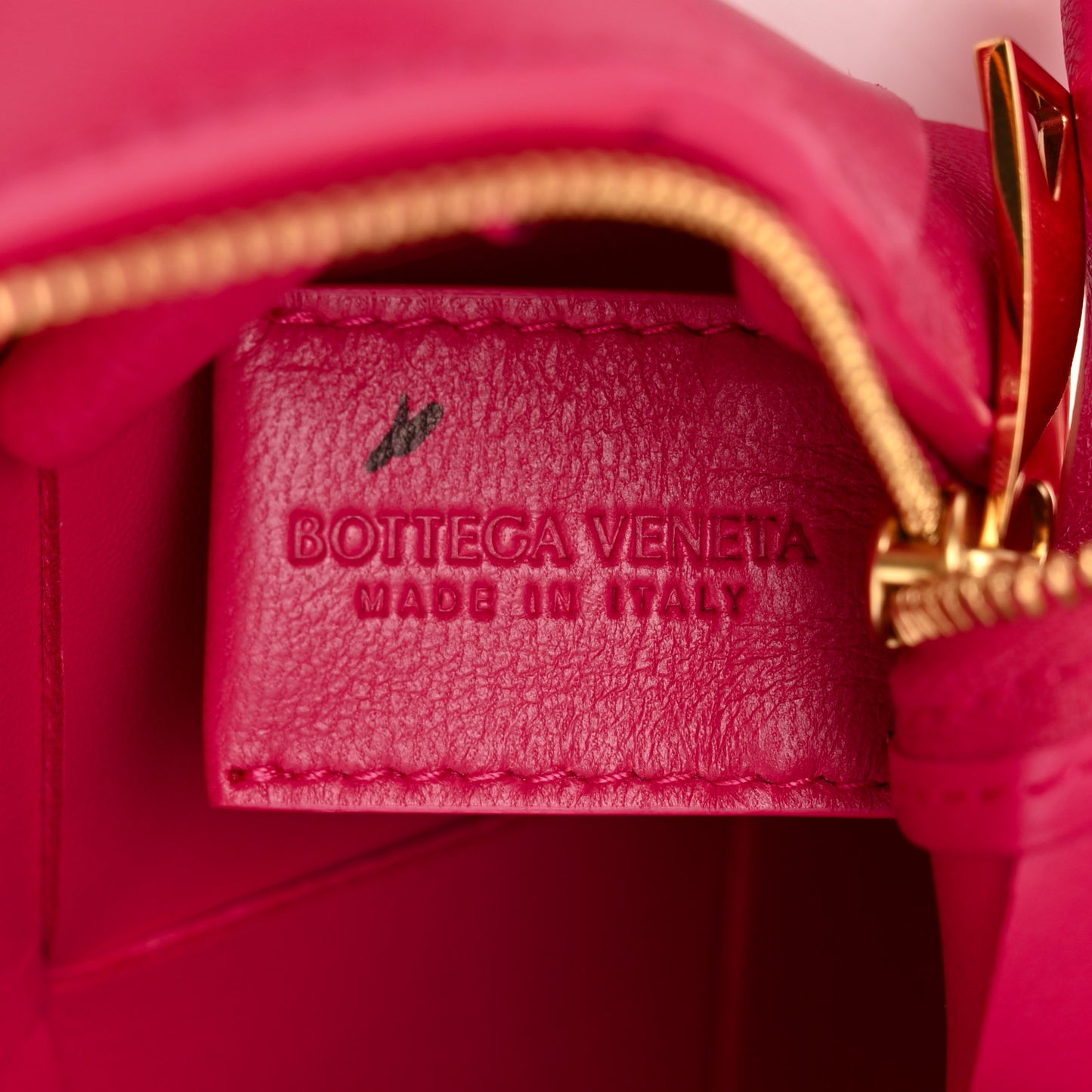 Lambskin Maxi Intrecciato Mini Cassette Camera Bag Cranberry