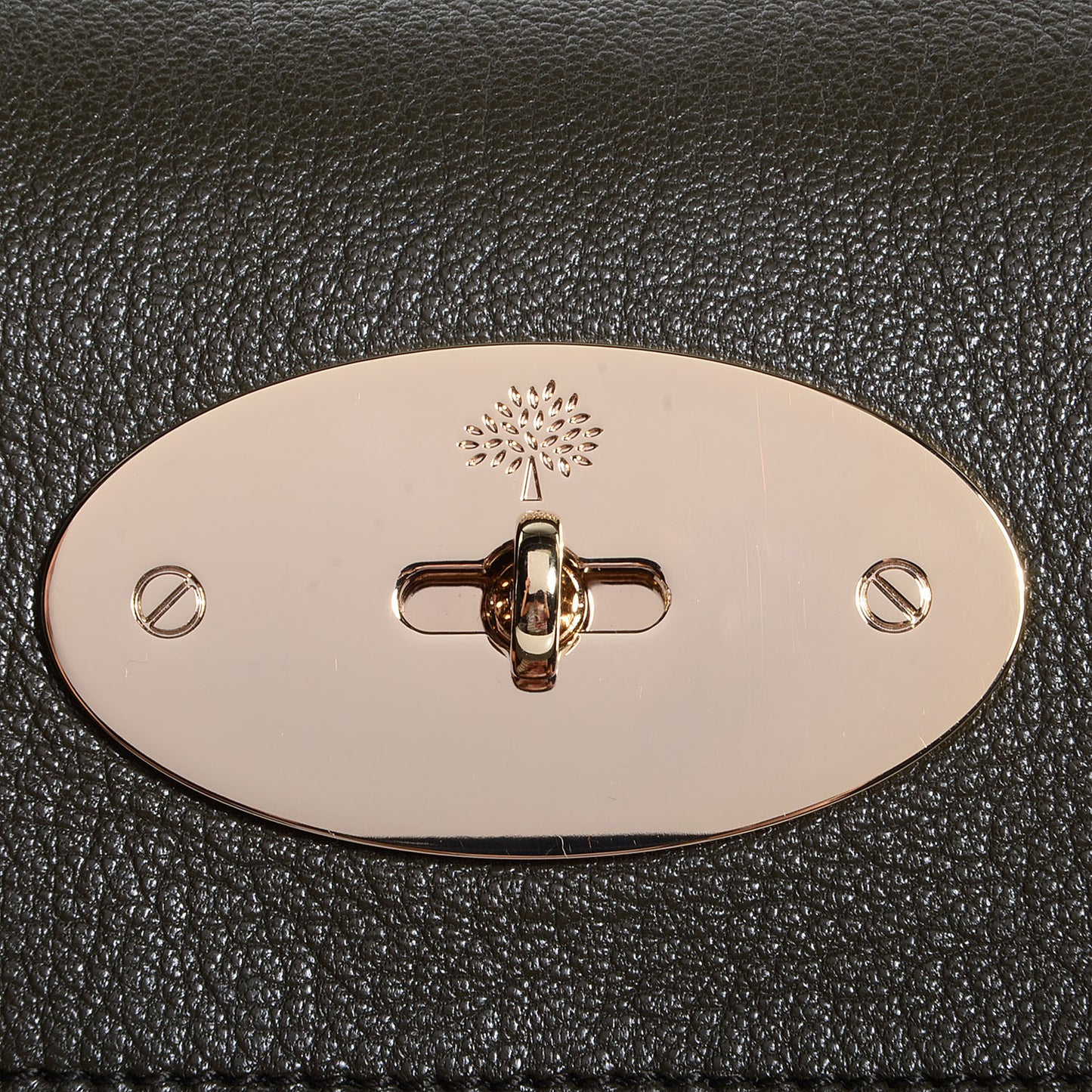 Glossy Goatskin Bayswater Evergreen