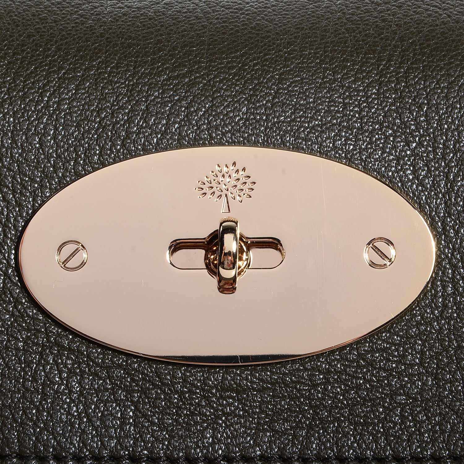 Mulberry Glossy Goatskin Bayswater Evergreen 11 of 11