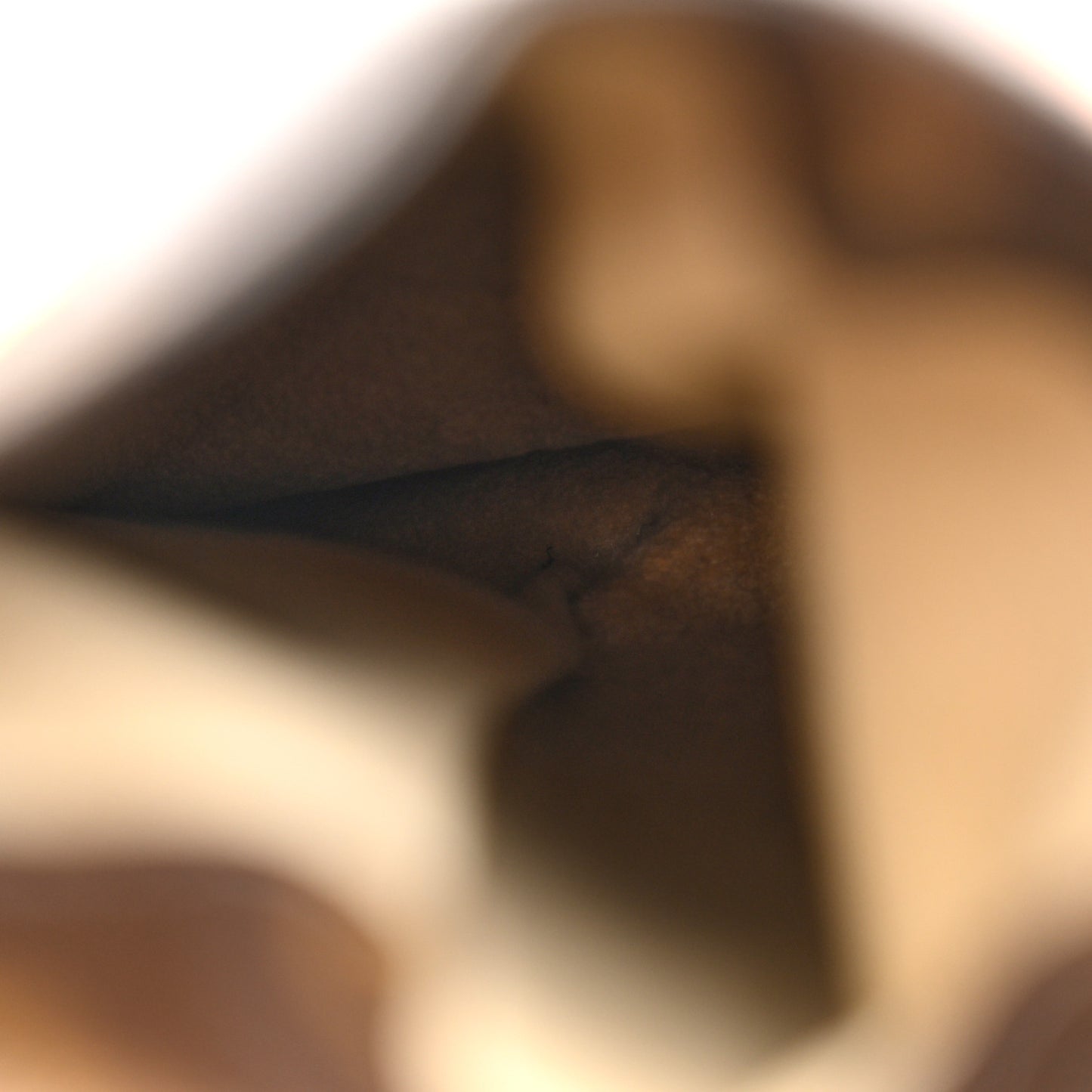 Monogram Sunglasses Case MM