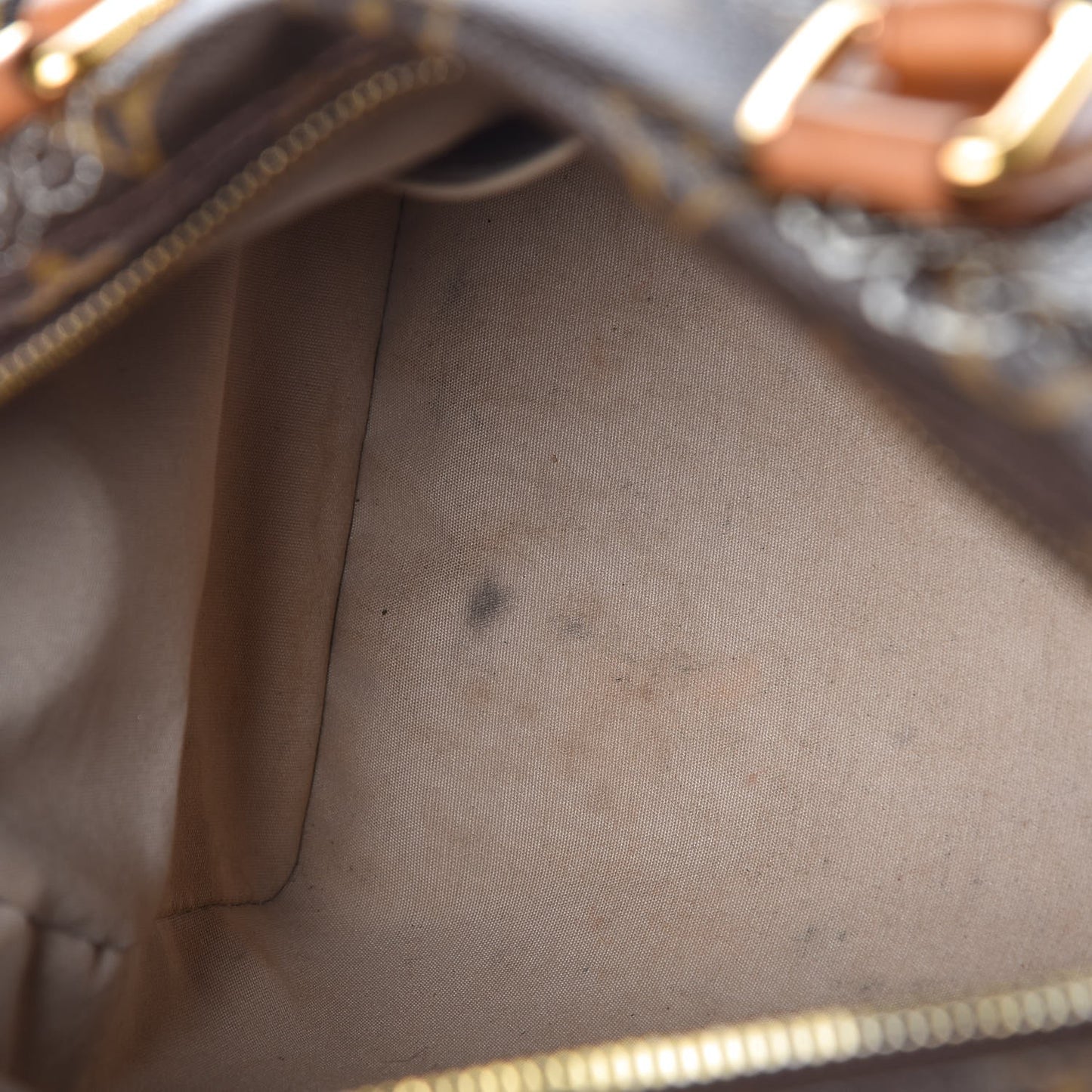 Monogram Dentelle Speedy 30 Silver