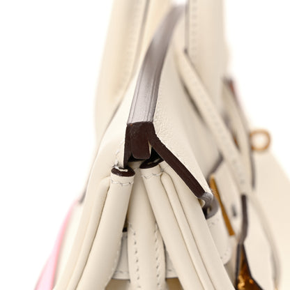 Hermes Swift Colormatic Birkin 30 Nata Chai Cuivre Lime Mauve Sylvestre Bleu Brume 11 of 12