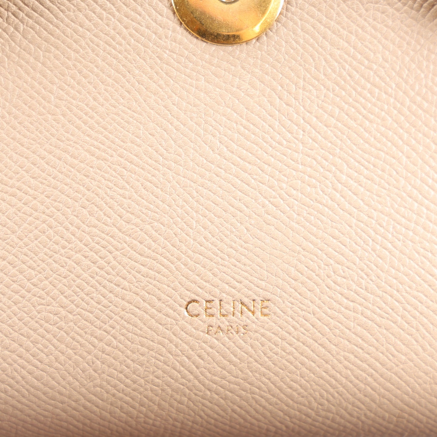 Grained Calfskin Pico Belt Bag Light Taupe