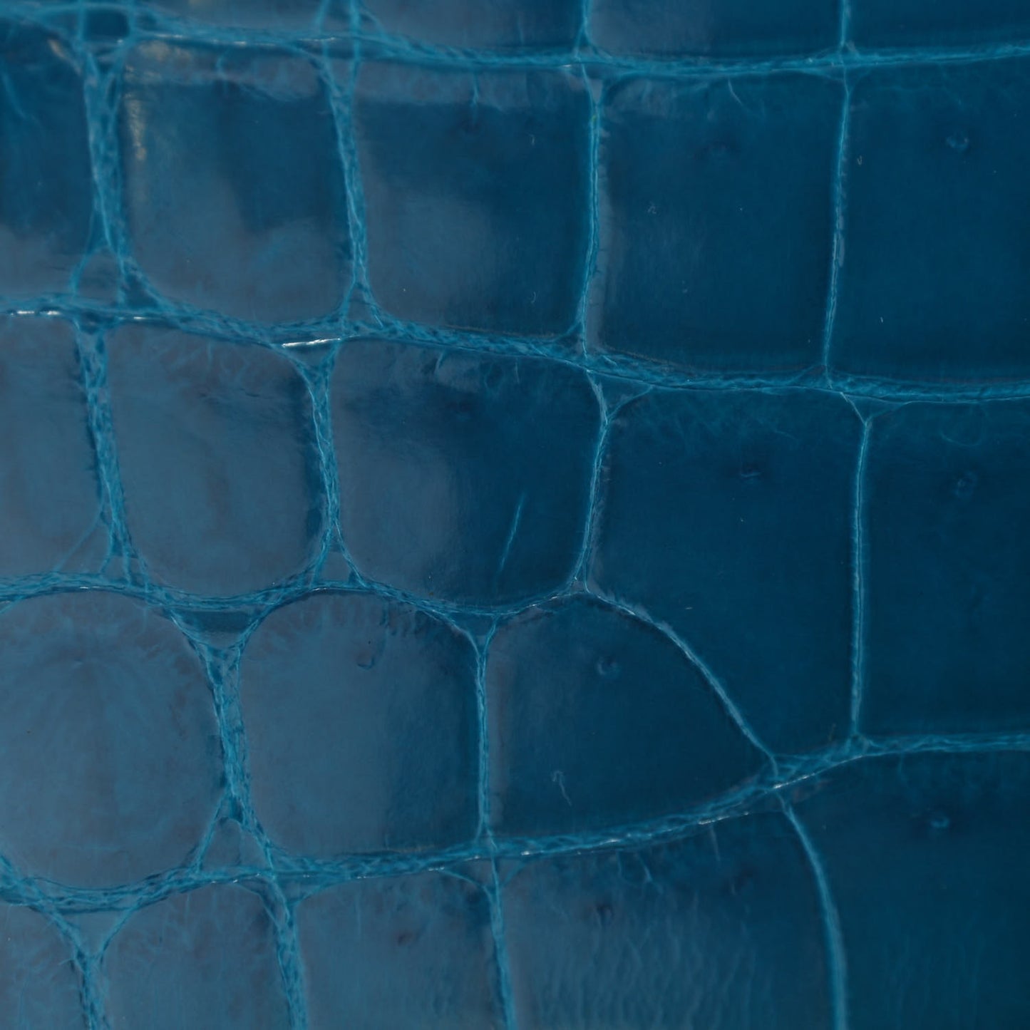 Shiny Niloticus Crocodile Kelly Cut Pochette Bleu Izmir