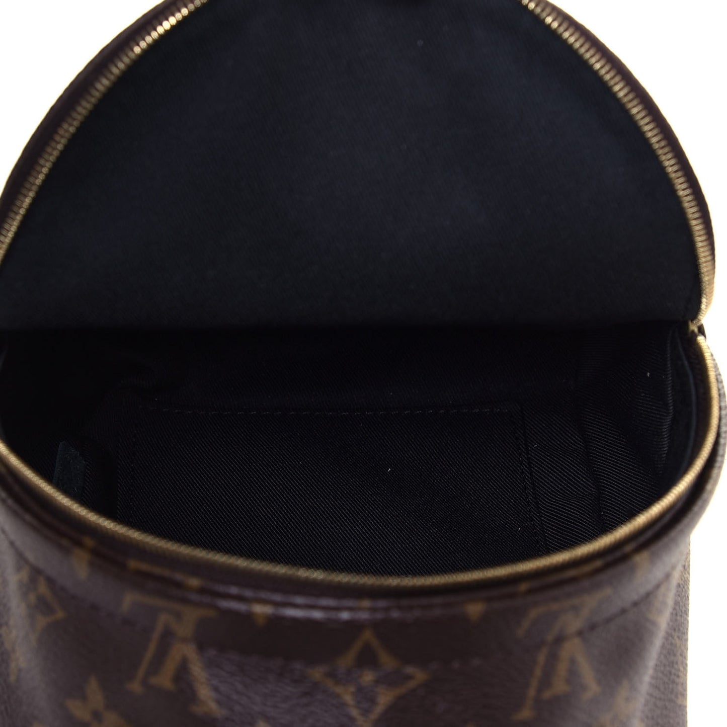 Monogram Palm Springs Backpack Mini