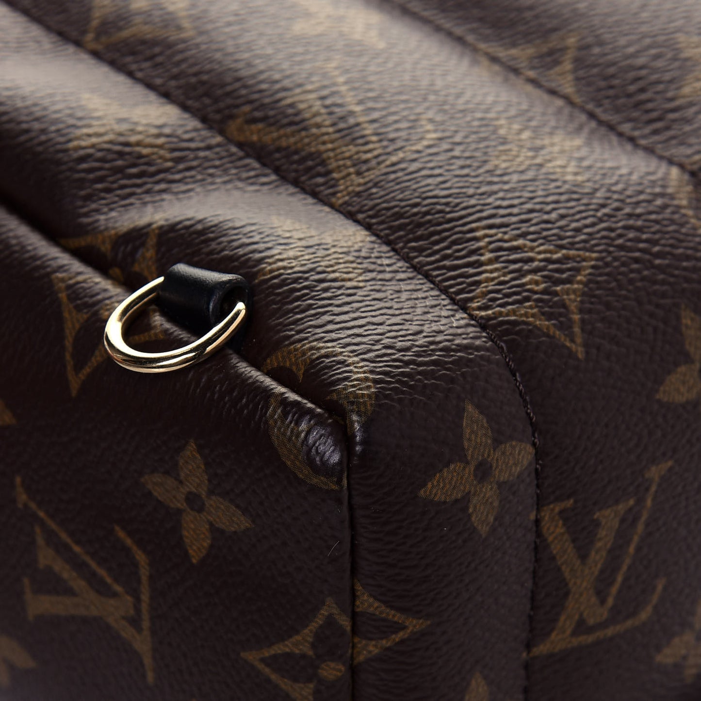 Monogram Palm Springs Backpack Mini
