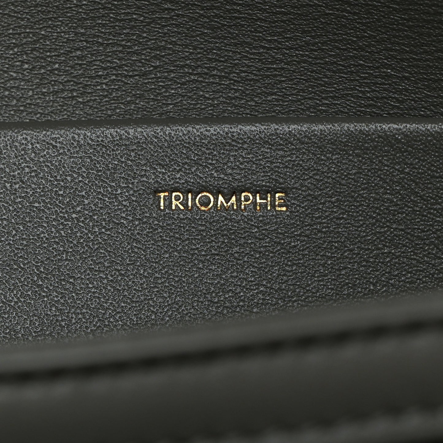 Shiny Calfskin Medium Triomphe Pebble