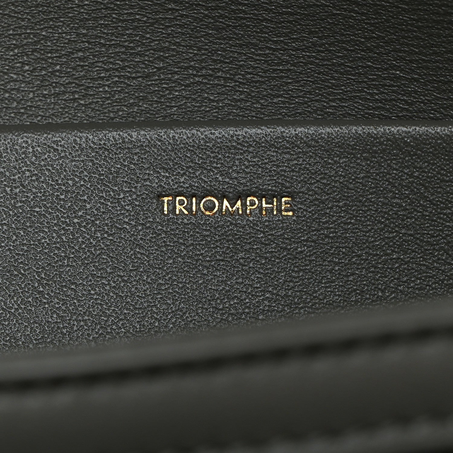 Celine Shiny Calfskin Medium Triomphe Pebble 5 of 10