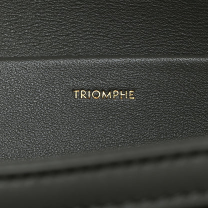 Celine Shiny Calfskin Medium Triomphe Pebble 5 of 10