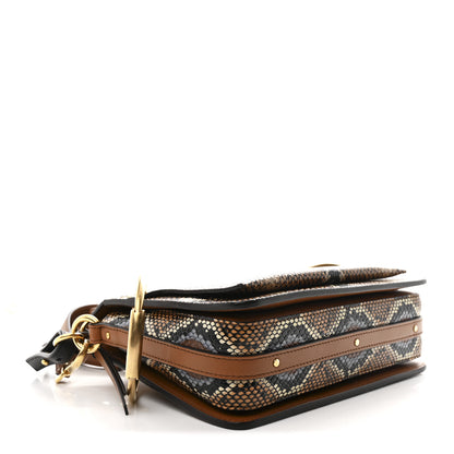 Chloe Calfskin Snakeskin Embossed Small Roy Bag Multicolor 4 of 9