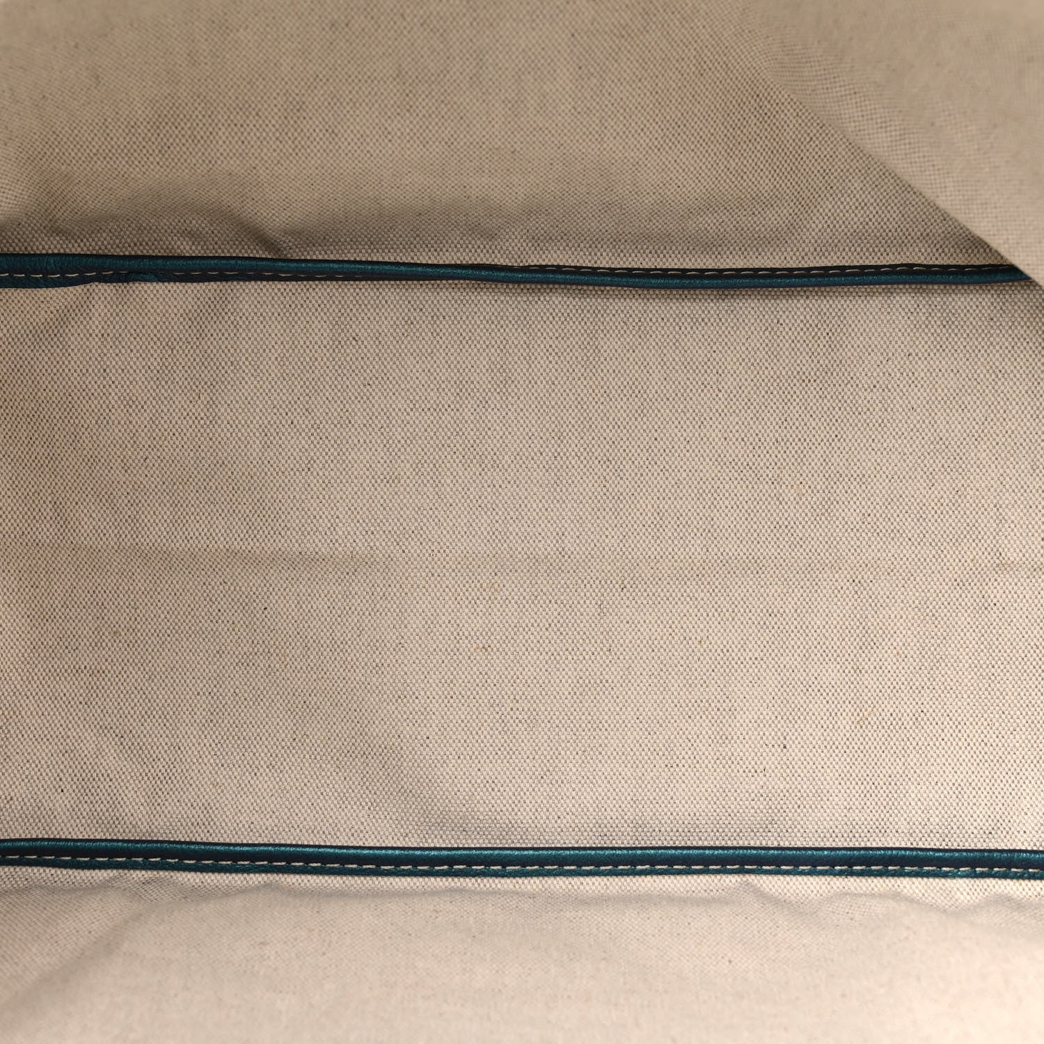 Goyard Iridescent Goyardine Saint Louis PM Pearly Blue 6 of 11