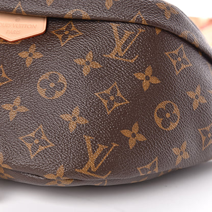 Louis Vuitton Monogram Bumbag 9 of 9