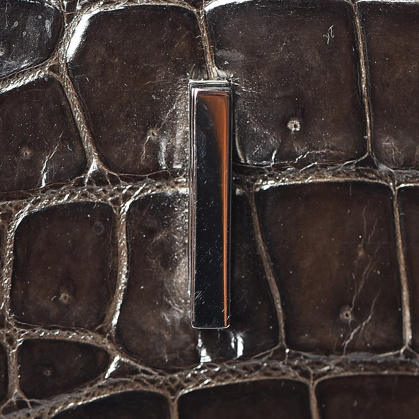 Shiny Porosus Crocodile Birkin 35 Graphite