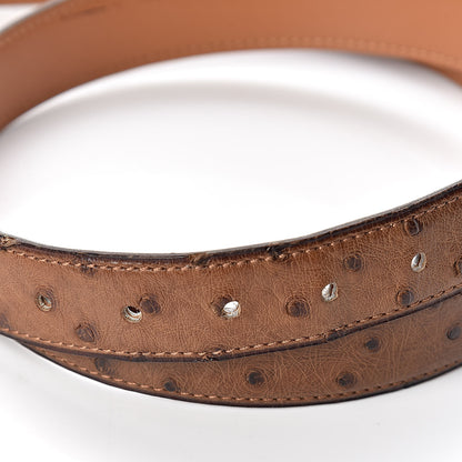 Hermes Ostrich 24mm Belt 95 Gold 6 of 8