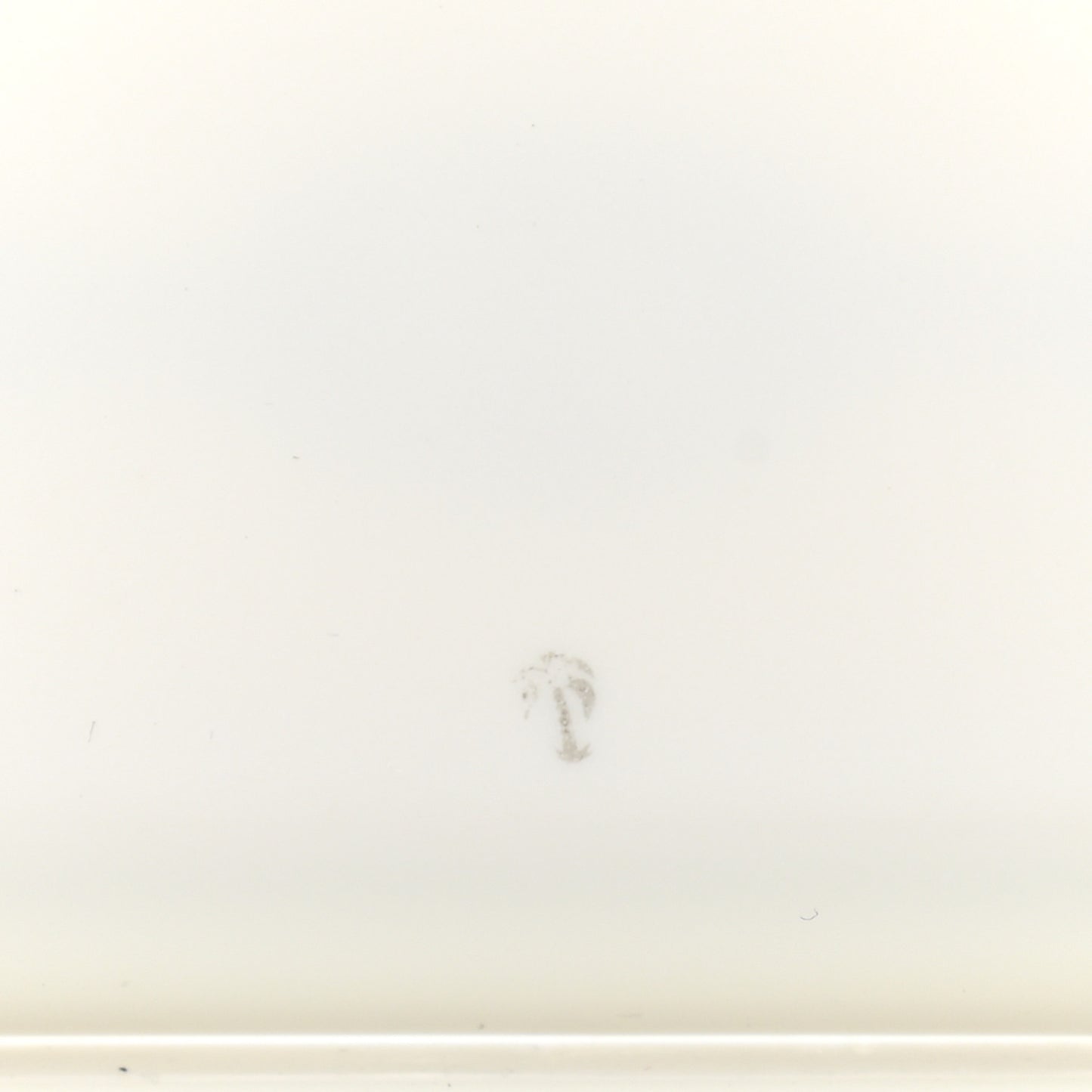Porcelain Chaine d' Ancre Sushi Plate