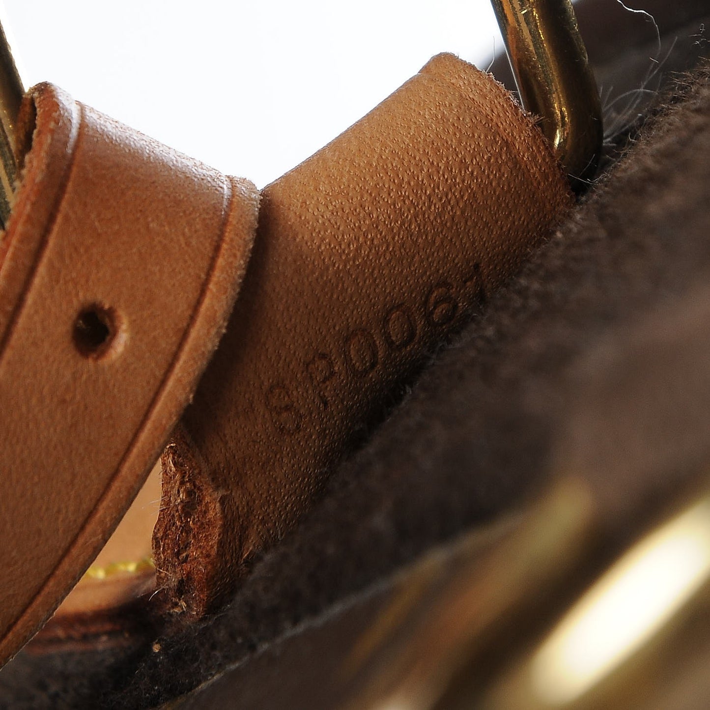 Monogram Pegase 55