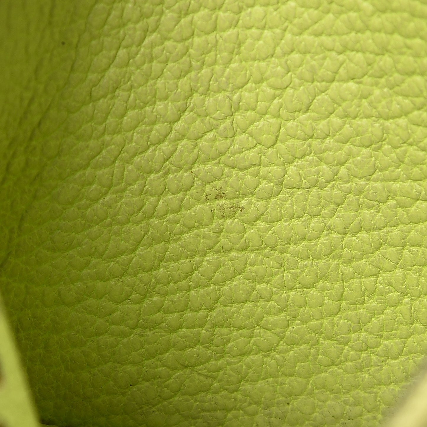 Chevre Mysore Evelyne Coin Purse Vert Anis