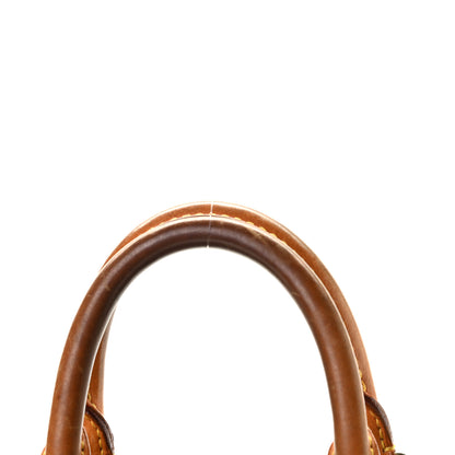 Louis Vuitton Monogram Speedy 25 7 of 8