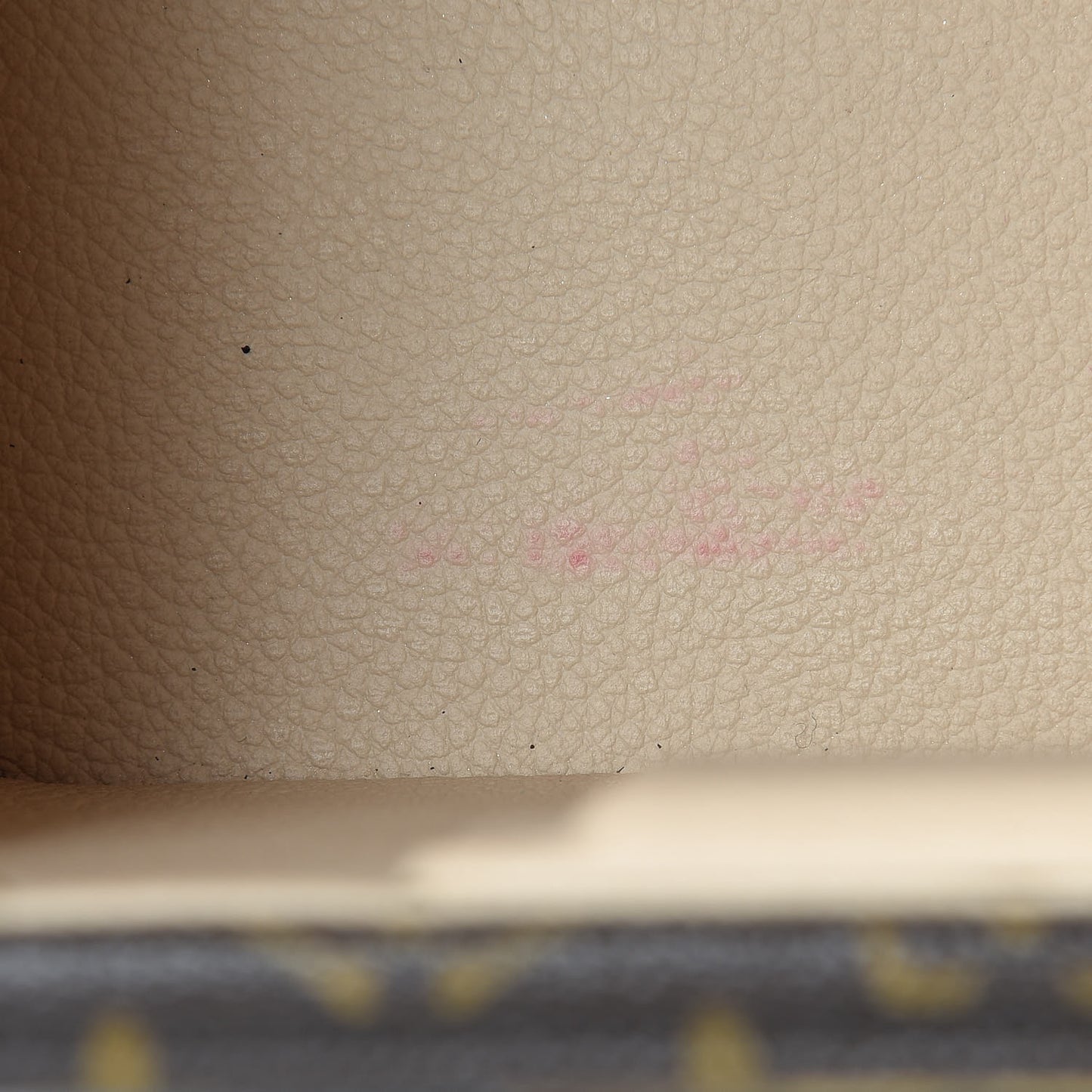 Monogram Boite Flacons Beauty Train Trunk Case