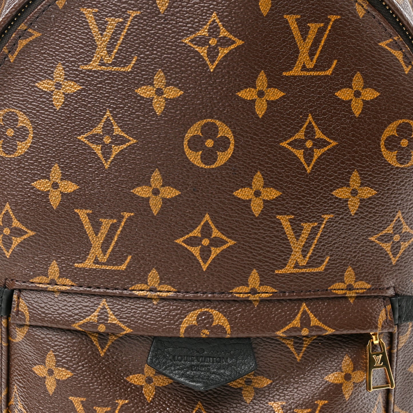 Monogram Palm Springs Backpack PM