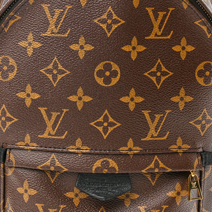Louis Vuitton Monogram Palm Springs Backpack PM 8 of 12