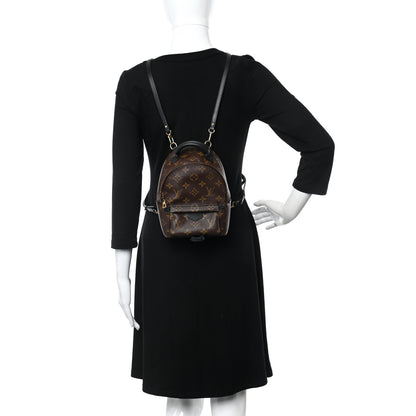 Louis Vuitton Monogram Palm Springs Backpack Mini 2 of 12