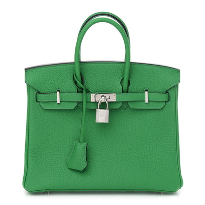 Hermes Togo Birkin 25 Bambou 1 of 38