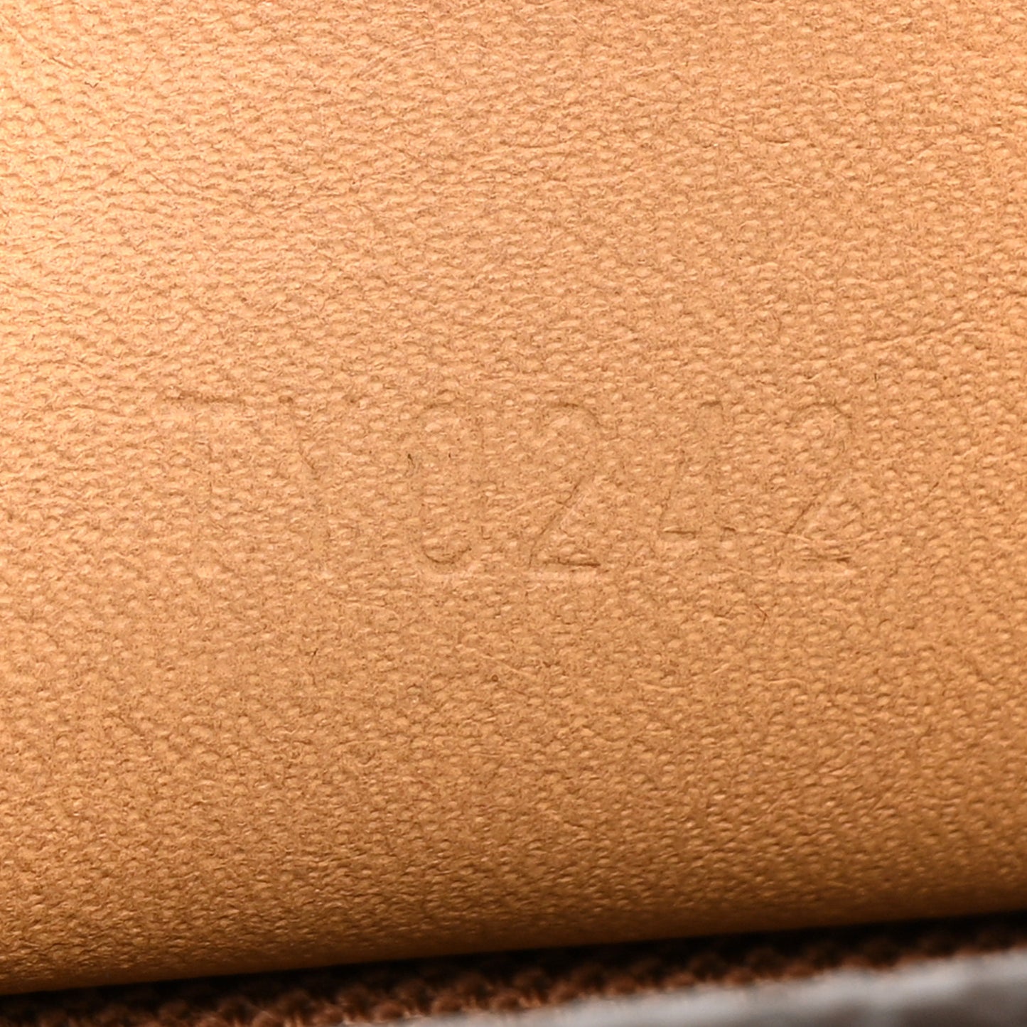 Monogram Nano Speedy Bandouliere