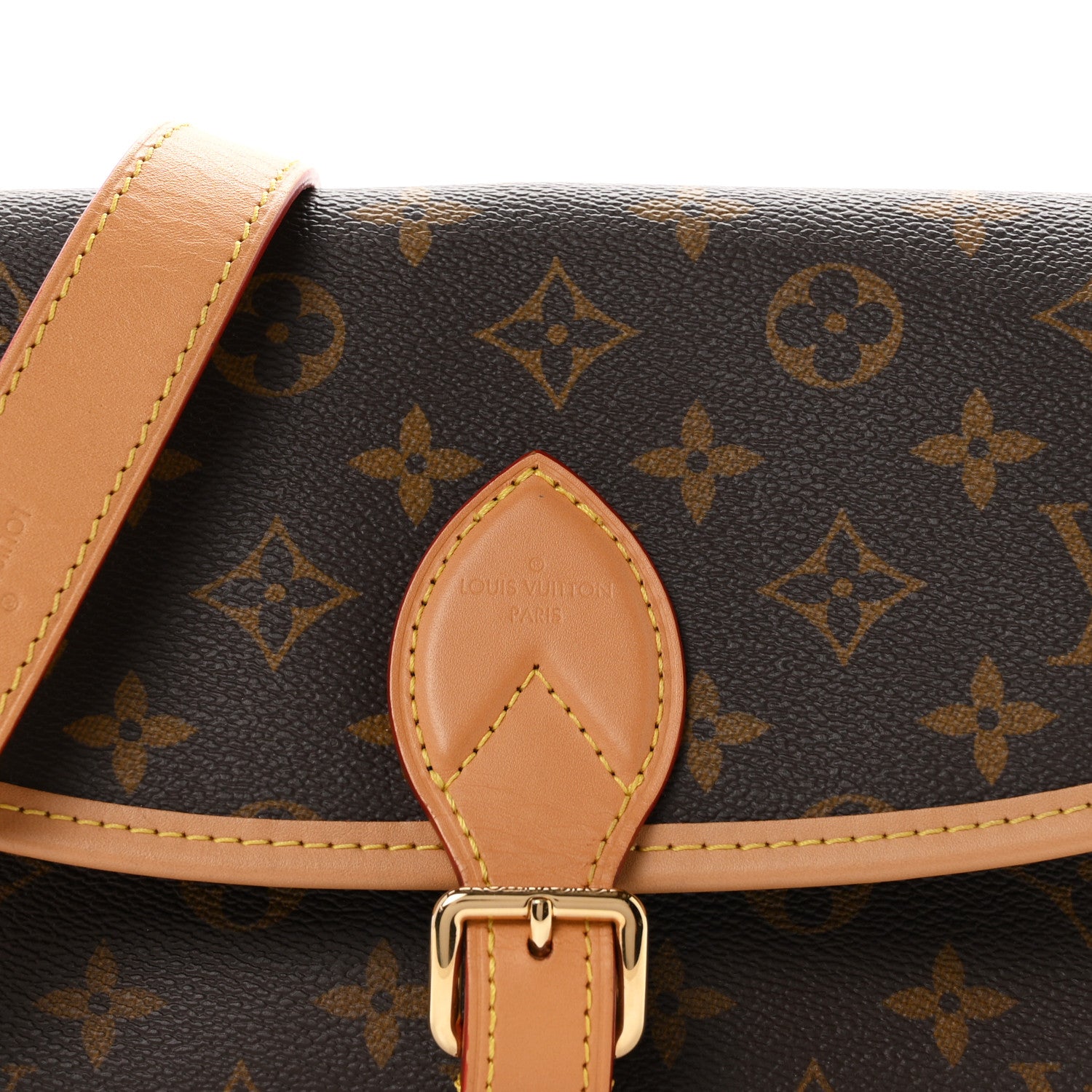 Louis Vuitton Monogram Diane 6 of 8