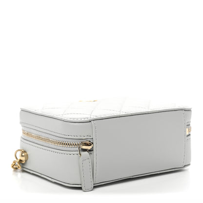 Chanel Lambskin Quilted CC Pearl Crush Camera Case Grey 4 of 11