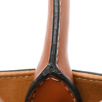 Celine Triomphe Canvas Calfskin Mini Vertical Cabas Tan 8 of 15