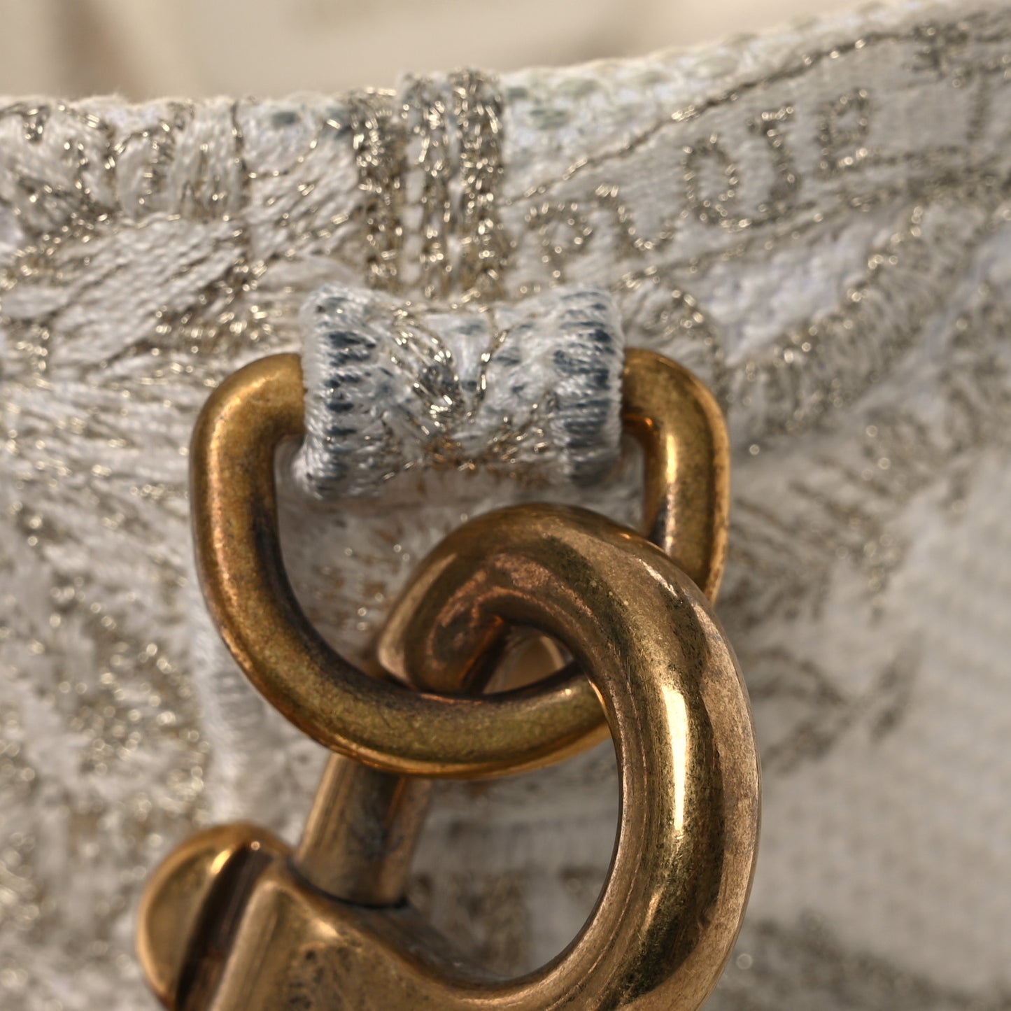 Canvas Embroidered Reve d'Infini Small D-Bubble Bucket Bag Gold