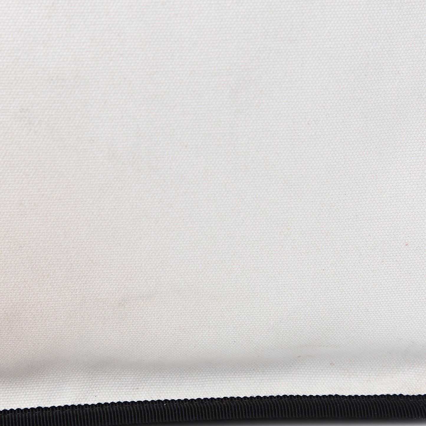 Canvas Calfskin Let's Demonstrate Small Tote White Black