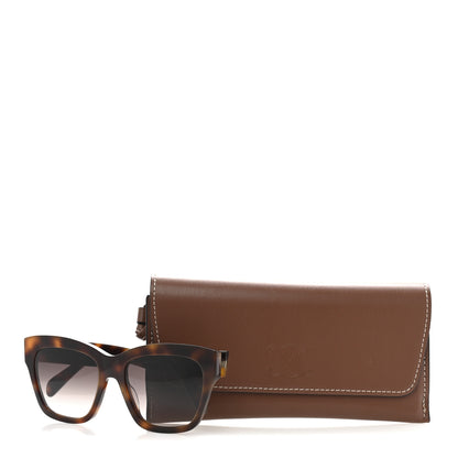 Celine Acetate Triomphe 09 Sunglasses CL40253I Classic Havana 9 of 9