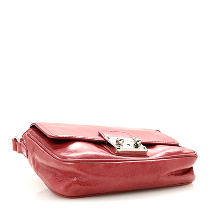 Miu Miu Vitello Shine Crossbody Bruyere 4 of 17
