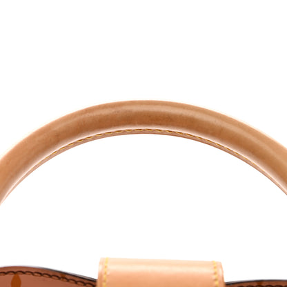 Louis Vuitton Ambre Neo Cabas MM 14 of 14