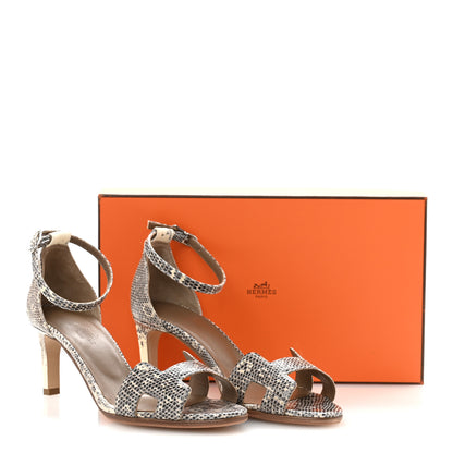 Hermes Lizard Premiere 70 Sandals 36 Ombre 11 of 11