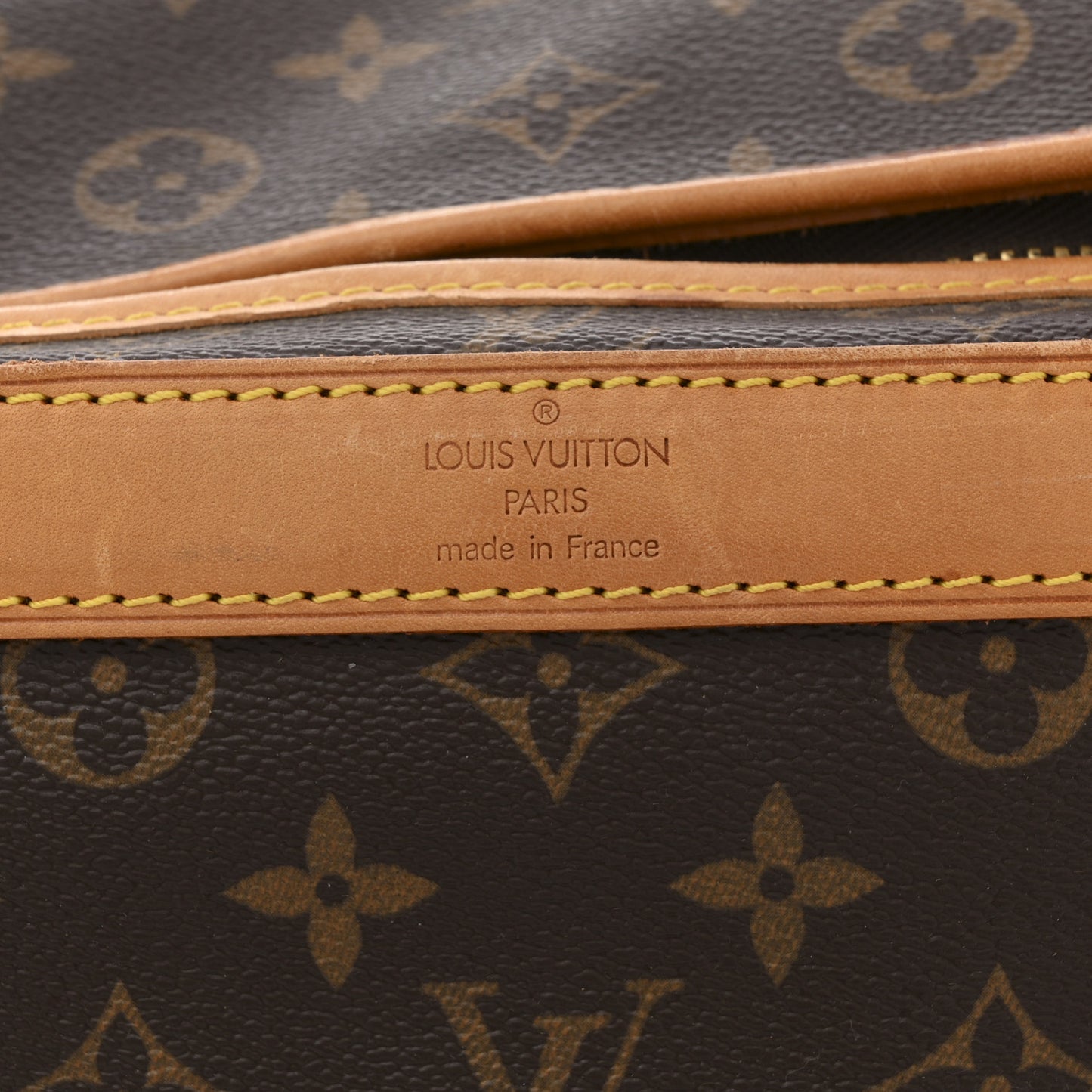 Monogram Sac Chien 40 Pet Carrier