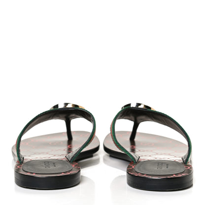 Gucci Nylon Calfskin Web GG Monogram Womens Thong Sandals 36 Green Red Cocoa 6 of 11