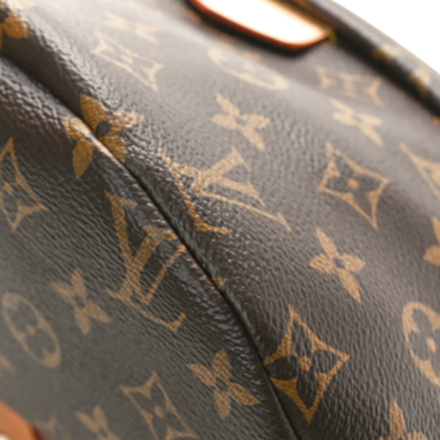 Monogram Bumbag