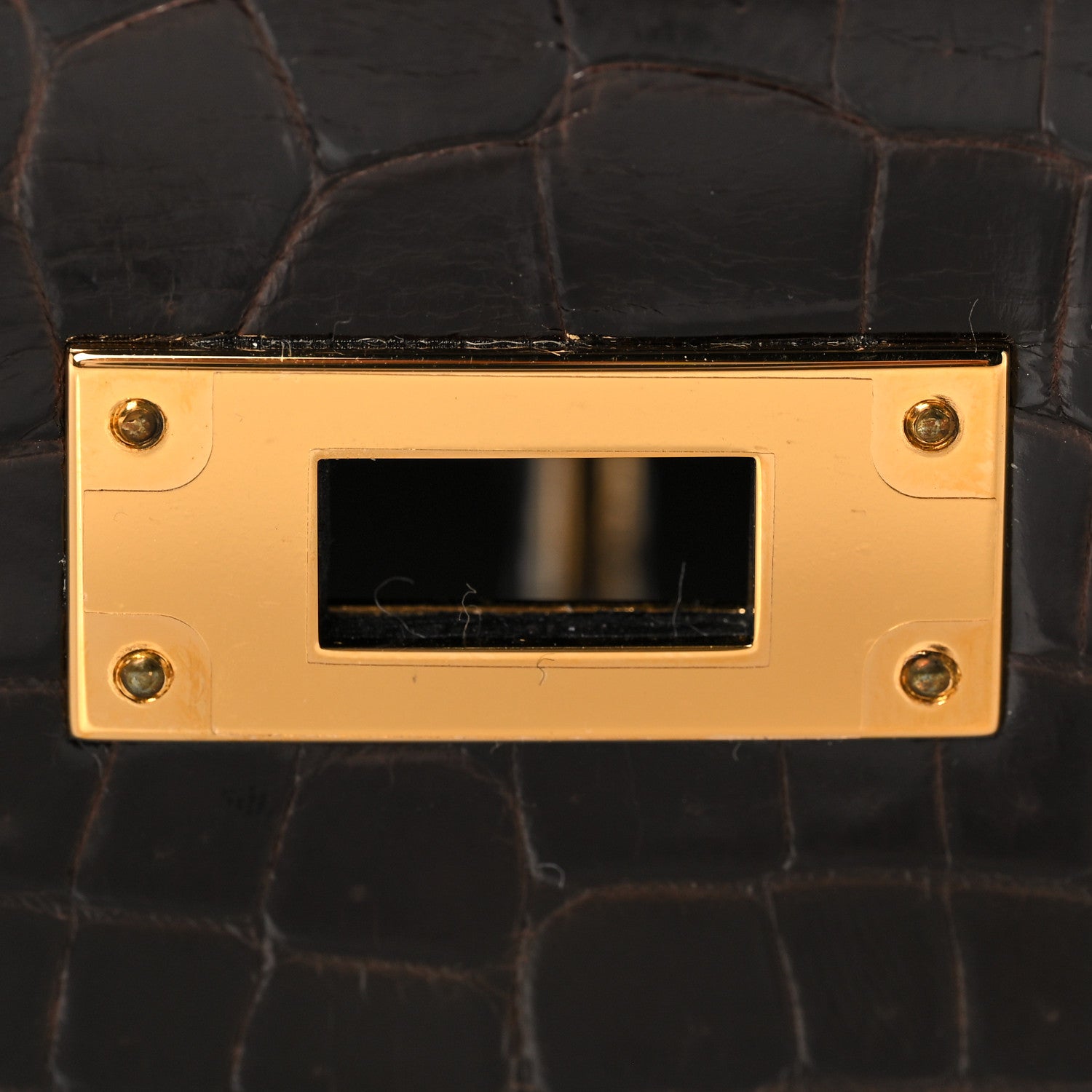 Hermes Shiny Niloticus Crocodile Kelly Sellier 28 Macassar 32 of 38