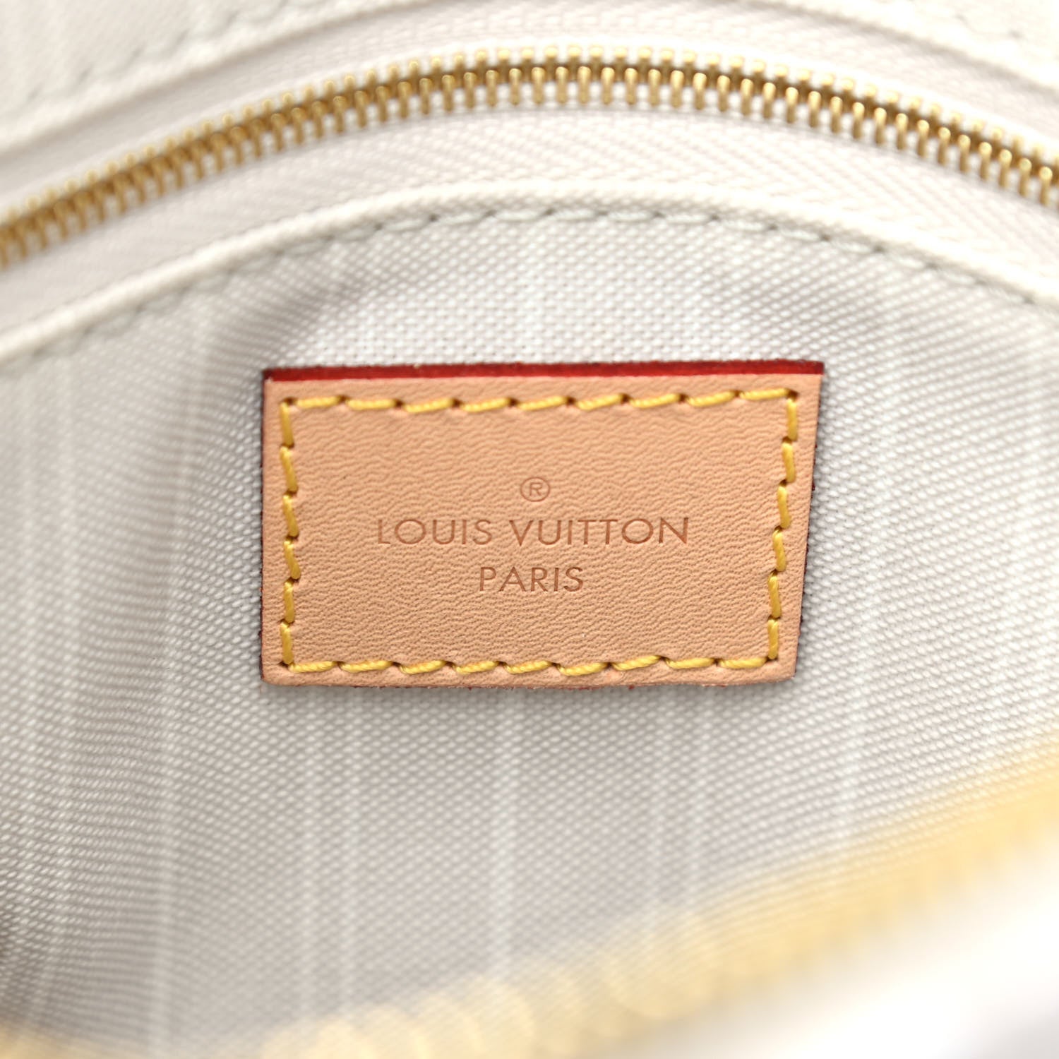 Louis Vuitton Monogram Giant By The Pool Speedy Bandouliere 25 Brume 6 of 9