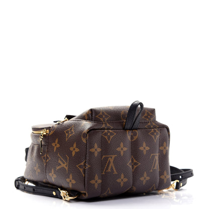 Louis Vuitton Monogram Palm Springs Backpack Mini 4 of 11