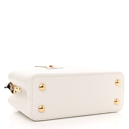 Louis Vuitton Taurillon Ayers Capucines Mini White Snow White 4 of 10