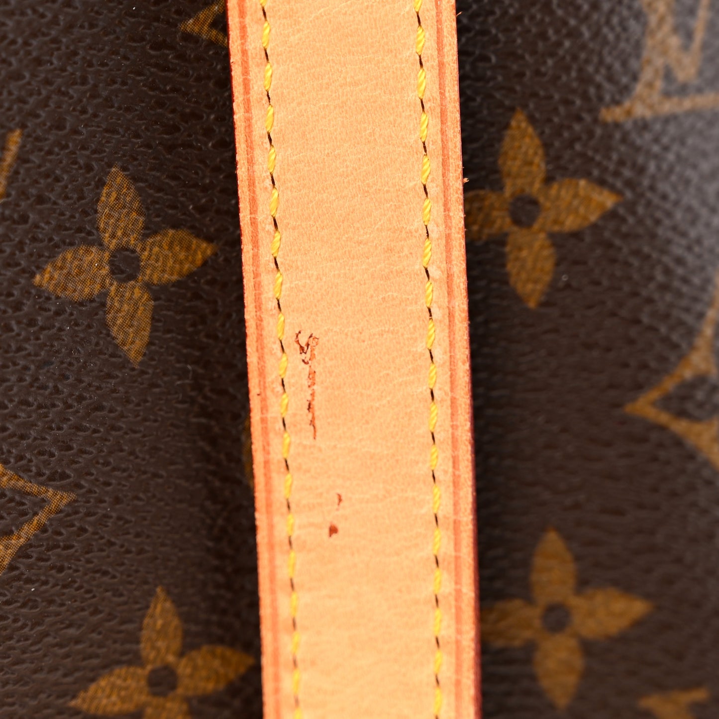 Monogram Cabas Mezzo