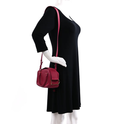 Delvaux Taurillon Soft Mini Cool Box Satchel FRAMBOISE 2 of 13